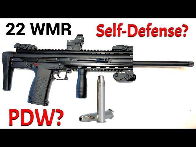 22 WMR for Self Defense?  CMR30?