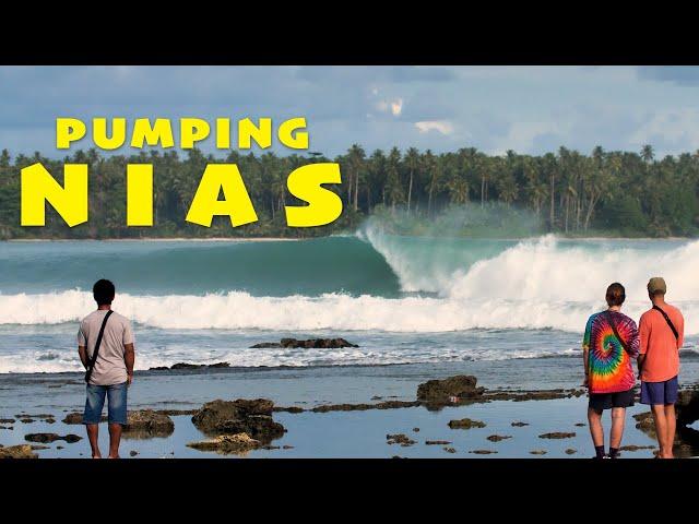 PUMPING NIAS || The Best Comp Ever! PART 1