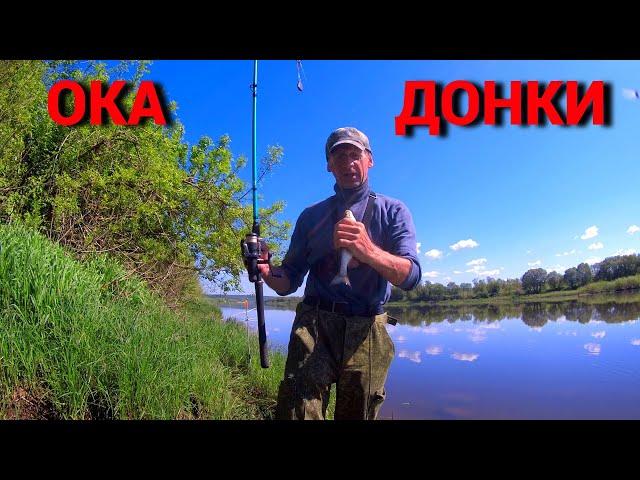 Рыбалка на донки на Оке. Горох, пшеница, сало.