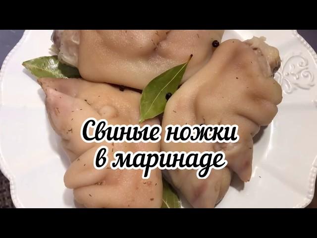 Можож / Свиные ножки в маринаде. Закуска для гурманов