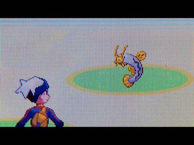 LIVE Shiny Barboach After 25658 Fishing Encounters !!! (Pokemon Ruby)