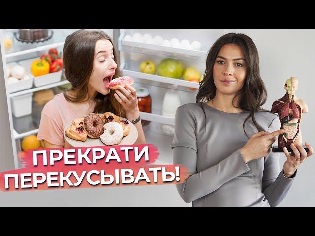 Почему перекус является плохой привычкой? / Перекусы: польза или вред здоровью?