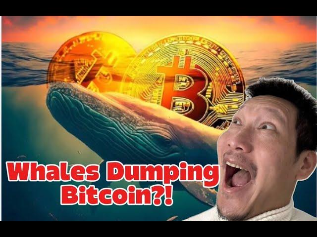 Are Whales dumping BTC?! I show you what whales are doing on-Chain! #Bitcoin #crypto #trading #ETH