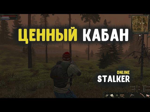 STALKER ОНЛАЙН / Ценный кабан / Заработок денег