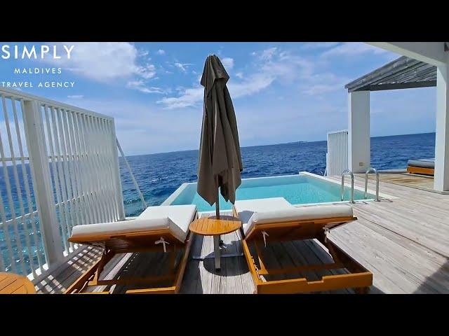 Amilla Maldives Resort - Reef Water Pool Villa Room Tour