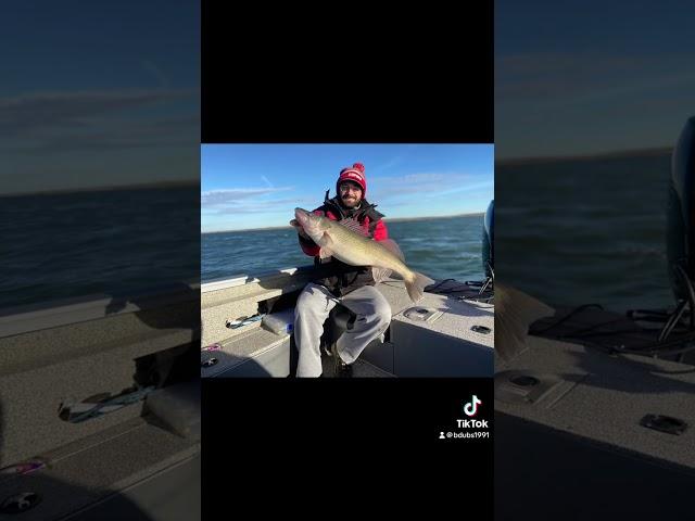 Great couple of days on Lake Oahe in Mobridge, South Dakota this last fall. Giant Walleye!