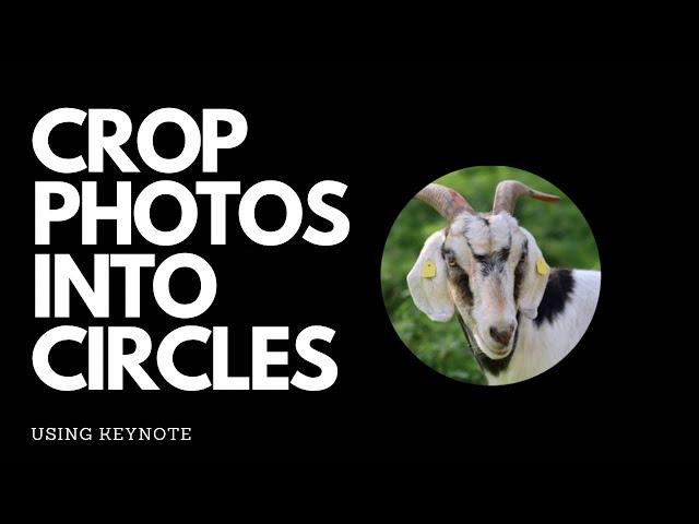 How to Easily Crop Your Photos into Circles using KeyNote