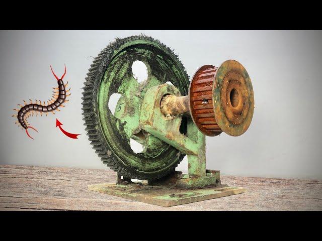 Antique Rusty 'Dynamo Pulley Gear' Restoration | A Centipede Inside 