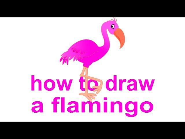 how to draw a flamingo, draw birds