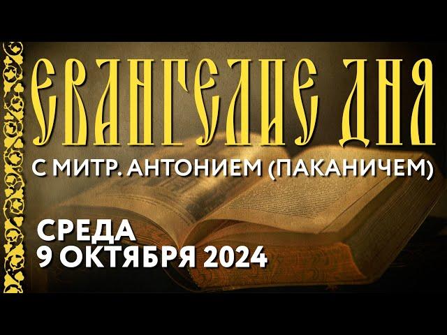 Толкование Евангелия с митрополитом Антонием (Паканичем). Среда, 9 октября 2024 года.