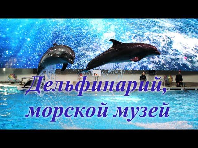 Дельфинарий. Морской музей. Клайпеда.