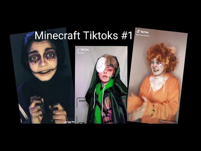 Minecraft TikTok Compilation #1