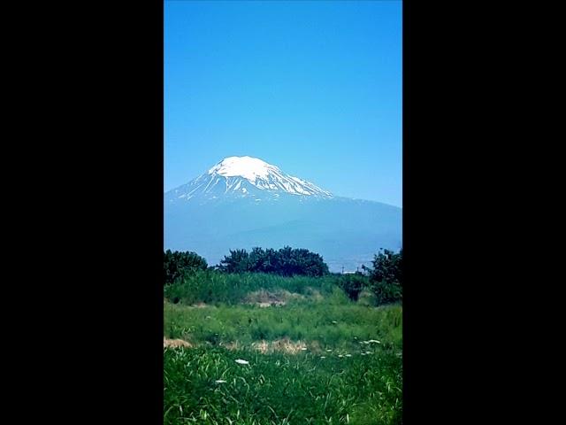 Ararat