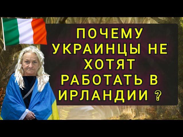 ПОЧЕМУ УКРАИНЦЫ В ИРЛАНДИИ НЕ ХОТЯТ  РАБОТАТЬ ??