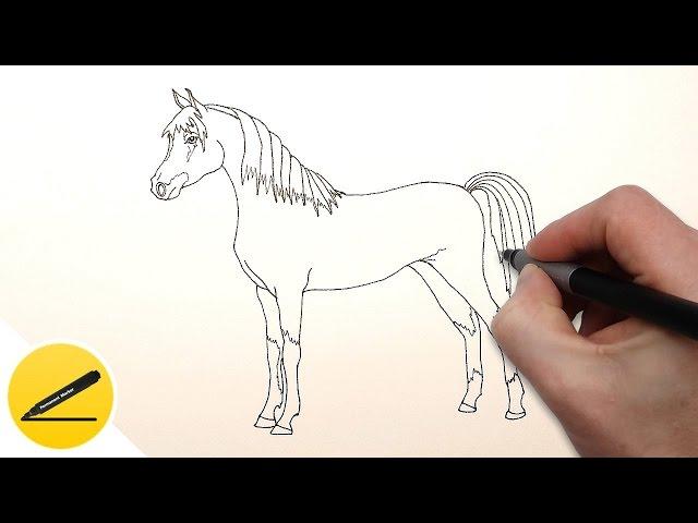 How to Draw a Horse step by step 