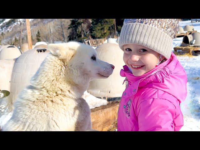 Nastya and Dad in a New Year's story about a family trip