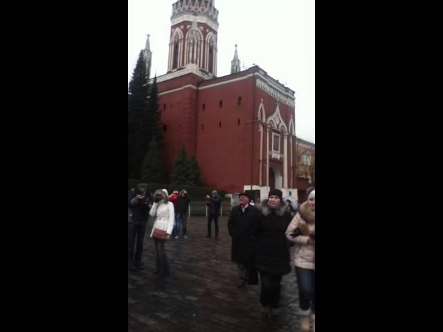 Якобы сотрудник ФСО пытается меня задержать на Красной площади во время протестной акции