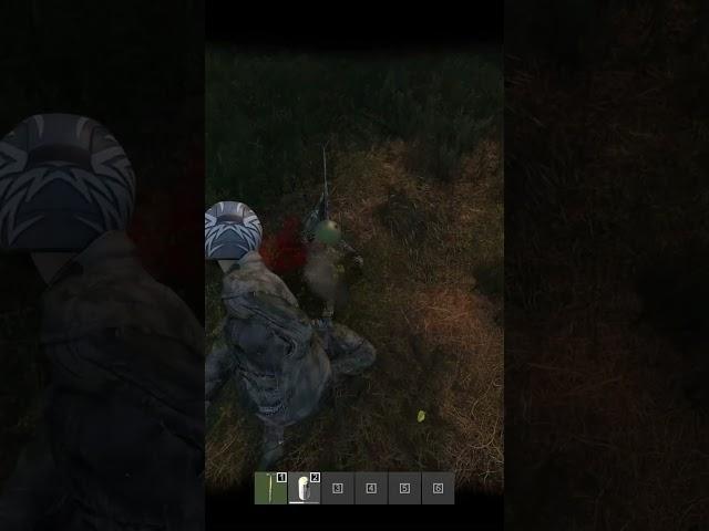 Sneaky Sledgehammer Kill #dayz #dayzstandalone #dayzgameplay  #gaming #survival #gameplay