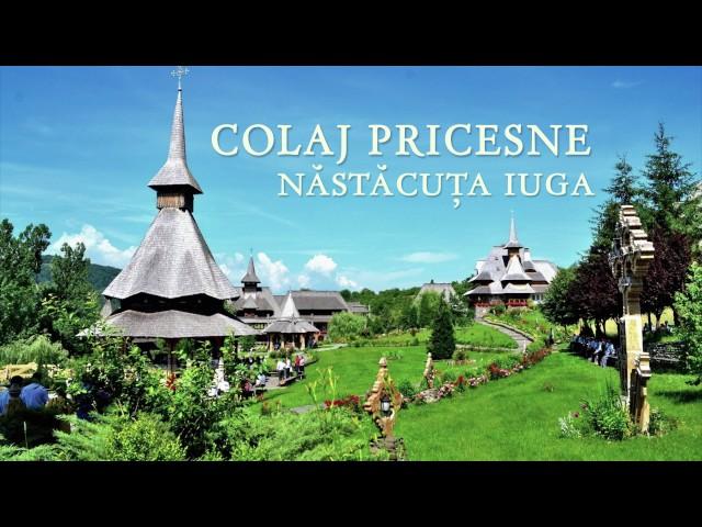 PRICESNE -colaj- @NastacutaIuga