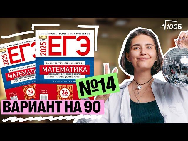 Вариант №14 уровня ЕГЭ 2025 | Аня Матеманя | 100балльный