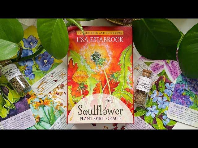 Soulflower Plant Spirit Oracle Deck Unboxing 