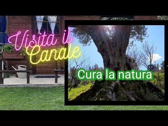 Autoproduzione Bio Di CURA LA NATURA