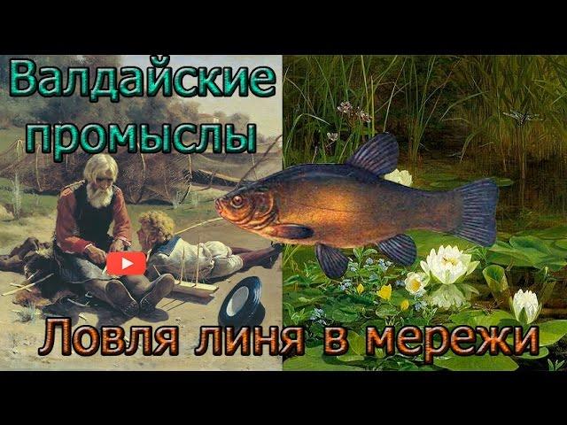 Ловля линя в мережи. Tench Fishing in trammel.