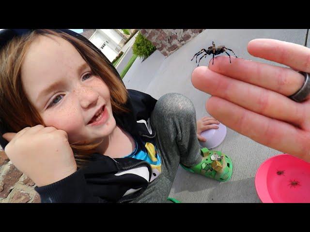 BUG CATCHiNG with NiKO  Finding Spiders and Worms Outside! Making a new home for our bugs with Dad