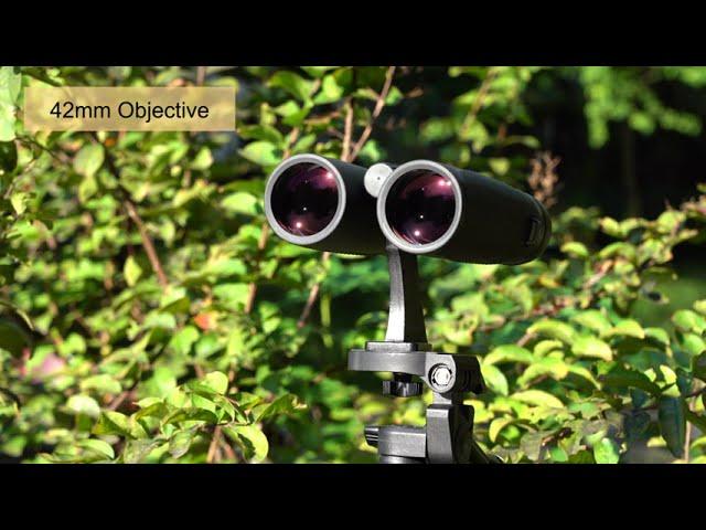 SVBONY SV202 8X32/10X42 ED GLASS Binocular