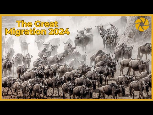 The Great Migration 2024