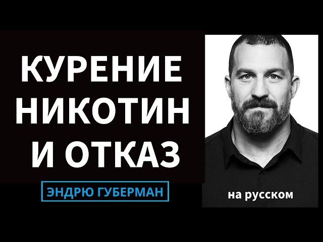 Влияние никотина на мозг и тело и как бросить курить или вейпинг | Эндрю Губерман на русском