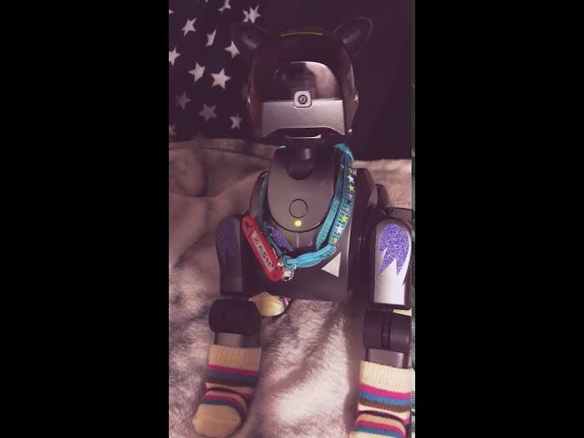 My aibo,  - Zash (210)