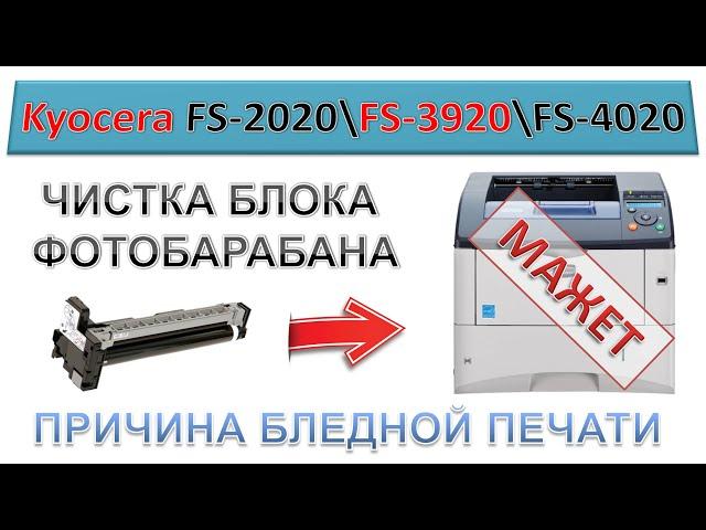 #136 Принтер Kyocera FS-2020 \ FS-3920 \ FS4020 МАЖЕТ | Как снять и почистить блок барабана DK-320