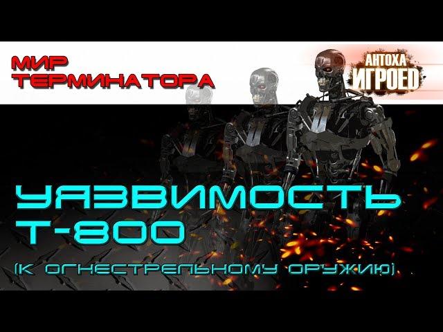 Уязвимость Т-800. Мир терминатора [ИГРОЕД]