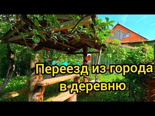 Из города в деревню. НАЧАЛО. Жизнь в деревне. Деревенский блокнот.