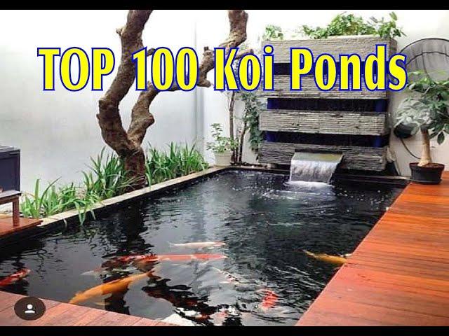 TOP 100 Beautiful Koi Ponds