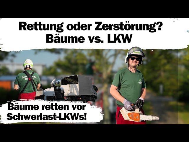 Rettung oder Zerstörung? – Bäume retten vor Schwerlast-LKWs! 