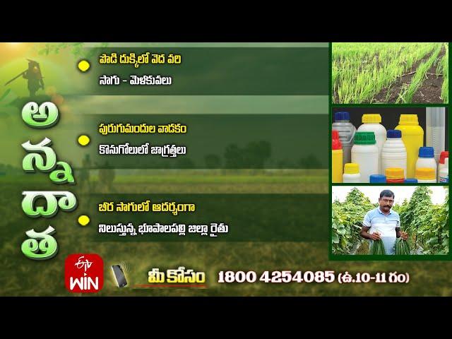 20th July 2024 | Annadata | అన్నదాత | Full Episode | ETV Telugu