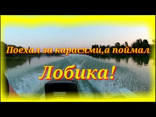 Рыбалка на Кубани!Поехал за карасями,а поймал ТОЛСТОЛОБИКА!