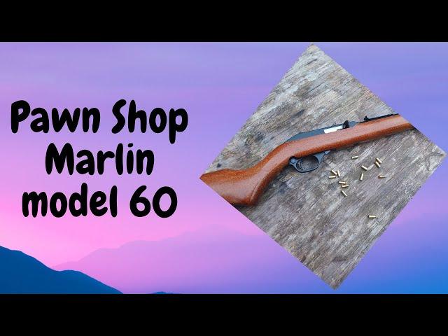 Pawn Shop Marlin model 60