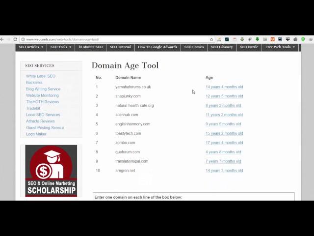 Domain Age Tool