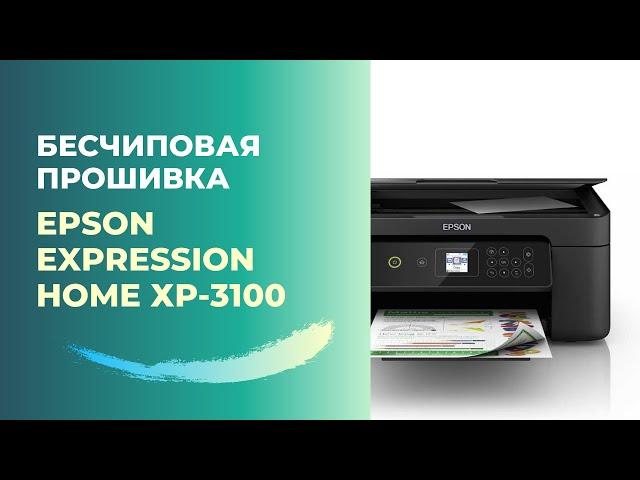 Бесчиповая прошивка Epson XP-3100 | Видеоинструкция