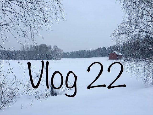 Влог 22. Новые процессы. Подарок. Новита .