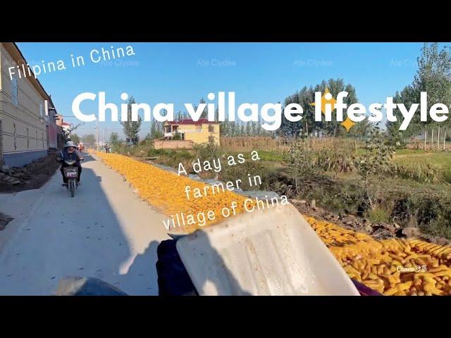 DISCOVER THE LIFESTYLE IN VILLAGE OF CHINA/ DRYING A CORN/Probinsya ng Tsina.Filipina in China