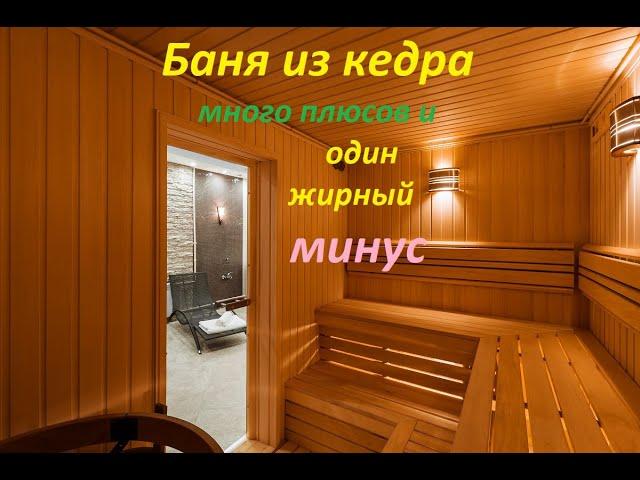 Баня из кедра: плюсы и минусы срубов и вагонки сибирского и канадского дерева