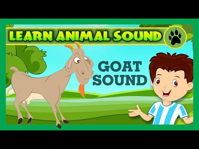 Animal Sound for Children | Goat Sound, Camel Sound, Pig Sound | Kids Hut