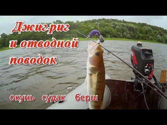 Ока. Рыбалка на джиг-риг и отводной поводок. Судак, окунь и берш.