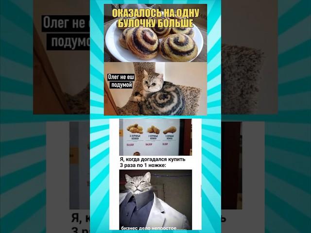 Мемасики про котиков часть 272 #meme #funny #shorts