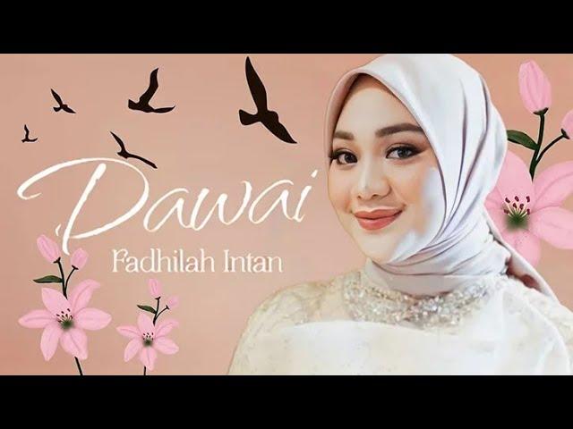 DAWAI - FADHILAH INTAN ( COVER BY SAIFUL MZ)