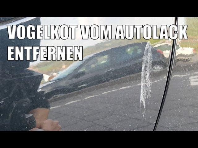 83metoo - Vogelkot schonend vom Autolack entfernen